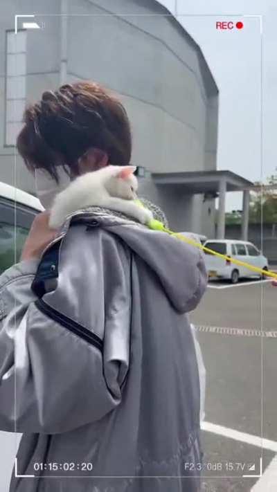 Thanks for everything Donbrothers