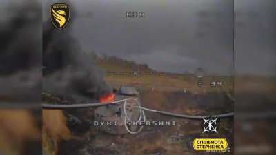 Ukrainian Border Guards 