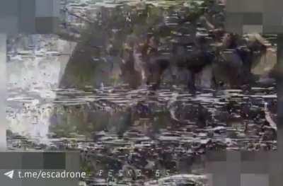 Footage of a Ukrainian FPV quad flying into a pile of Russian anti-tank mines.