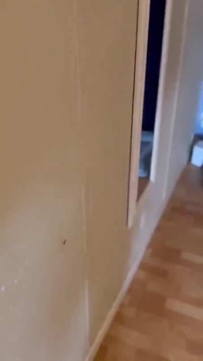 Let them do their thing Cuck and don't disturb