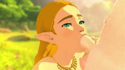 Zelda rewards Link (Fugtrup)