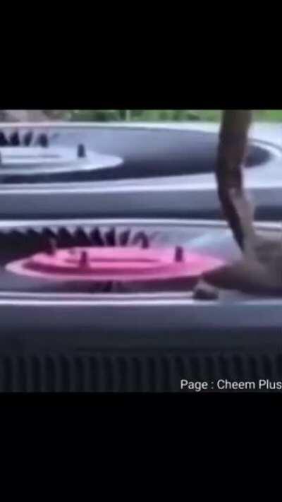 Not sure if this has been posted here before. Delete if repost.