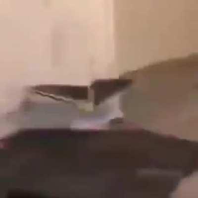 It's time for the hot shit