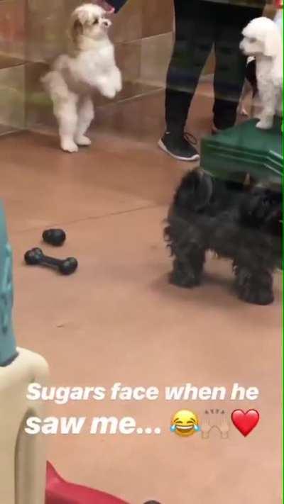 Excited to be picked up from daycare