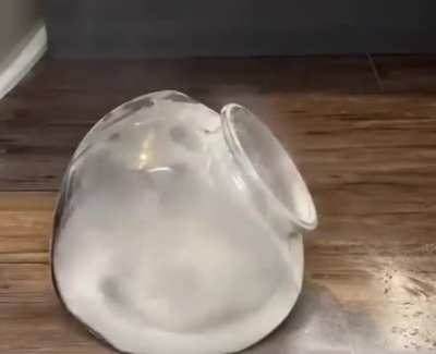 blursed cocaine chincilla