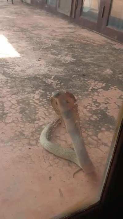 Whoever is in that building...