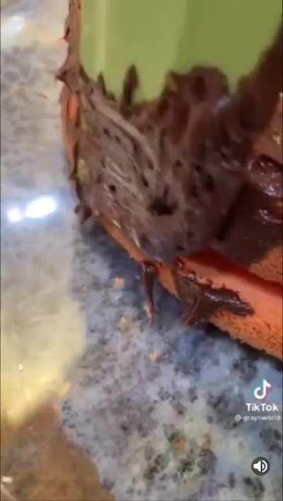 That's kinda dangerous ngl