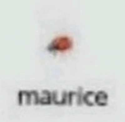 Blursed_maurice