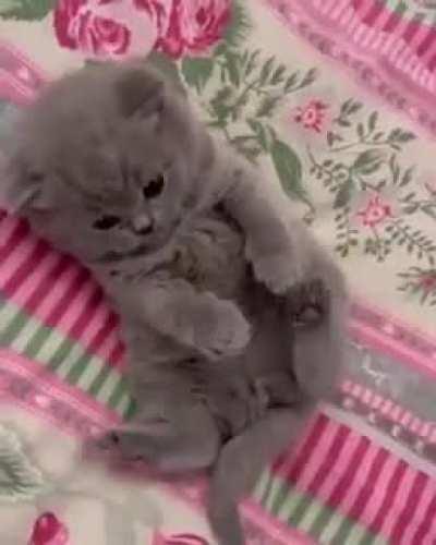 It can't control all parts yet 😂