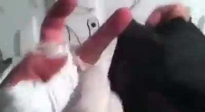 Every Anime Fight in a Nutshell?