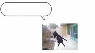 Alno 😫 Nommy 😢