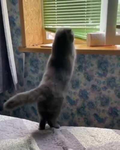 it is me who achieve my goals