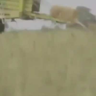 Bi insan neden böyle bir şey yapar amk