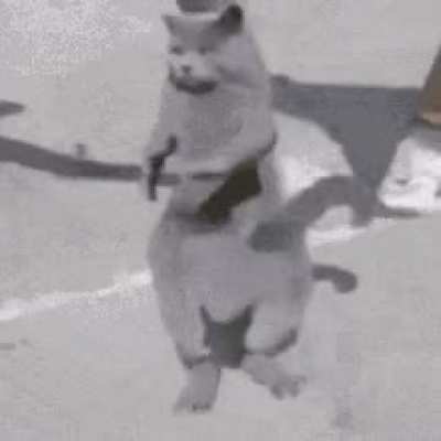 My Aunt just came from another Country and started videoing and faking an injury and threatening my school life because of me wearing school clothes in the house. '_'