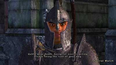 New Oblivion Guard Dialogue Interactions [Voice AI]