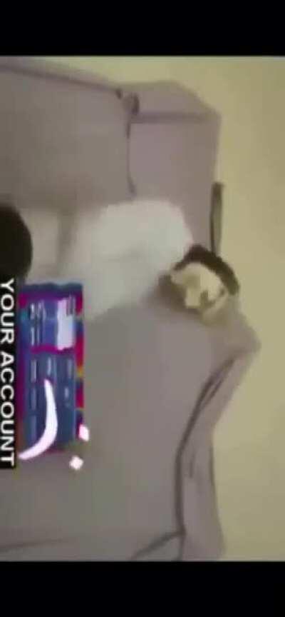 The baby just sent me this, what does this mean?