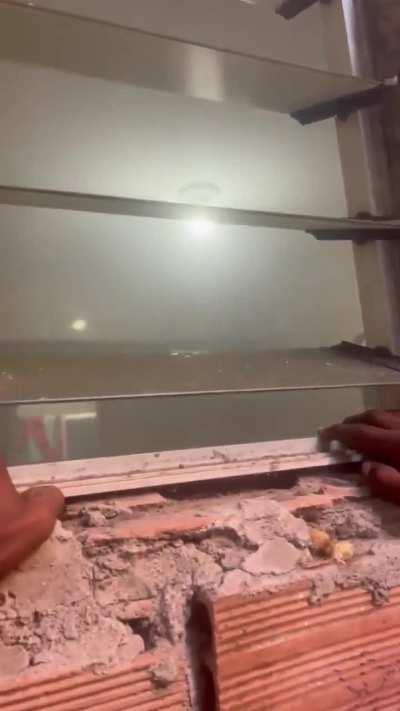 Reizin do que mesmo?