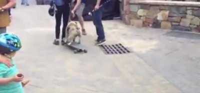 HMK while I ride this skateboard..