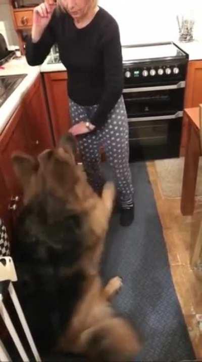 It was going so well