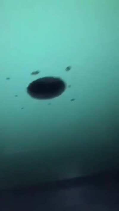 WCGW in a glory hole