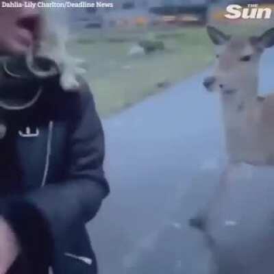 A Buck asking for more giveaways