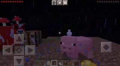 Como isso foi acontecer???