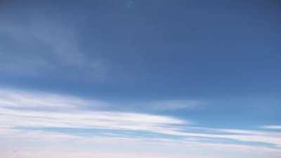 A Cruel Citizens Thesis