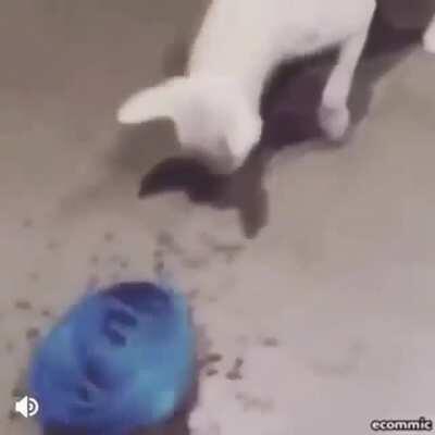 The solution is here