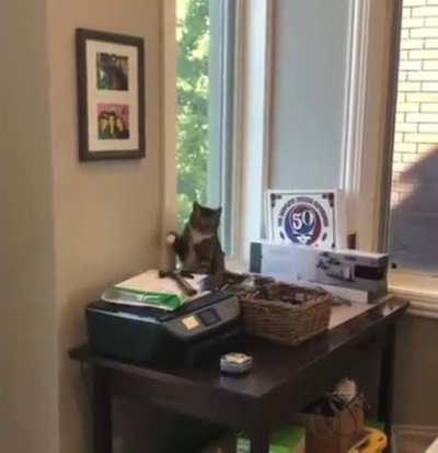 Take that you stupid hammer!