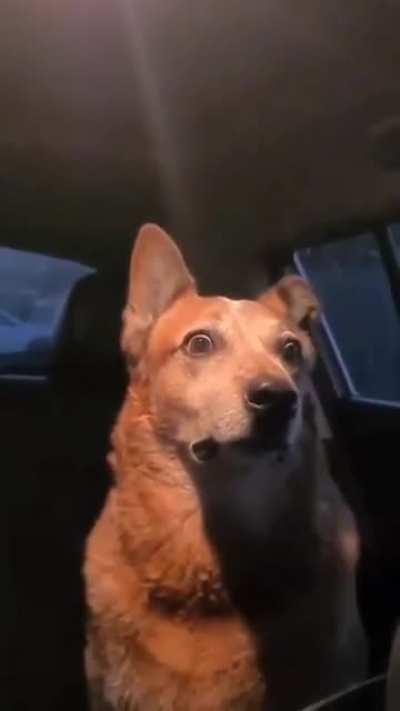 When your homie asks you to chill then gets into with his missus ...