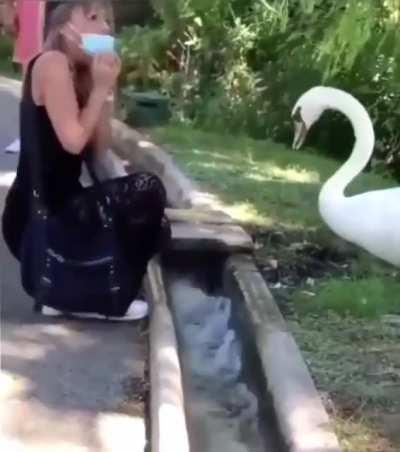 Wear your god damn mask properly