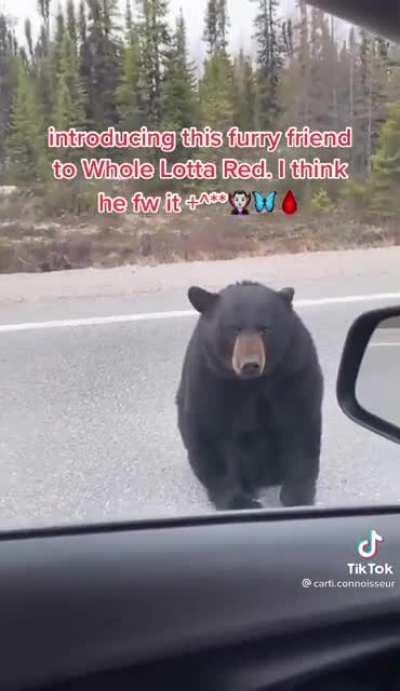 Y’all rockin with Carti bear⁉️