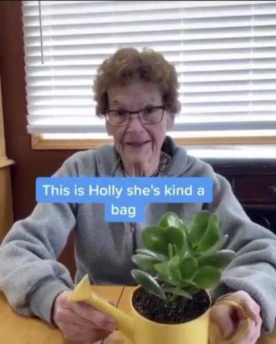 Grandma’s Succulent Tour - 9/10 at least