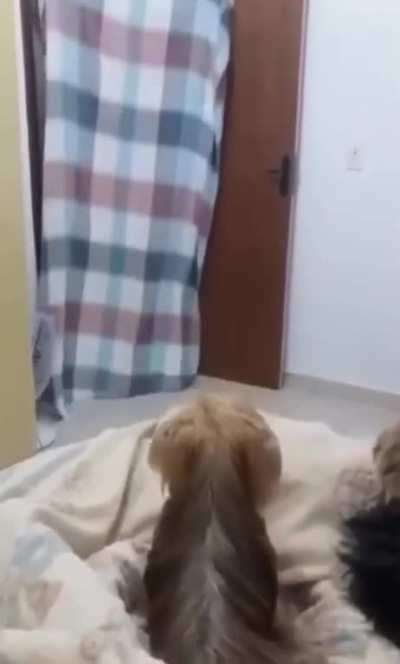 How did she do that?