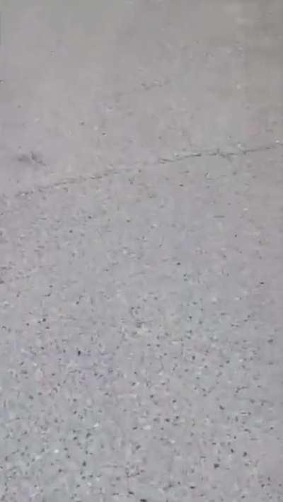 WCGW Skateboarding down a hill in San Francisco