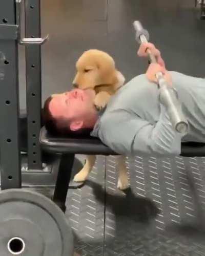 This way I'll never have bigger muscles my dear