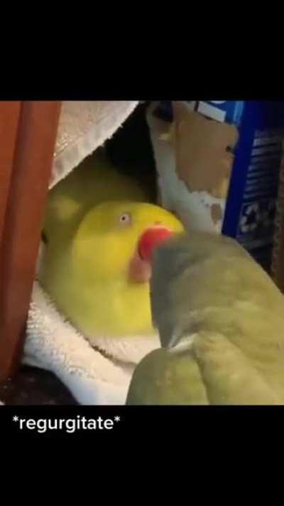 Beaker trying to get the party started :)