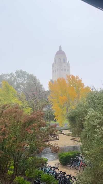 can a british rapper PLEASE hit this 🙏