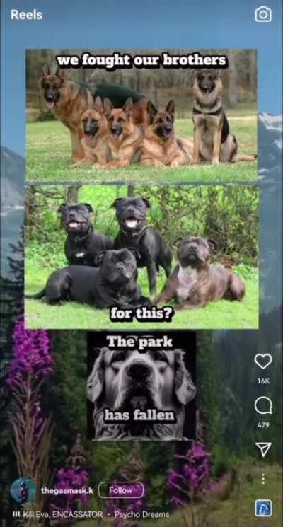 yuor instagram has dam fallen: billions must be subject to thinly veiled nazi propaganda