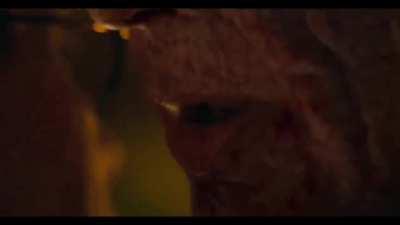 When I saw the trailer, the first thing I thought was