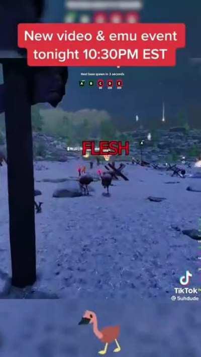 an interesting title number idk