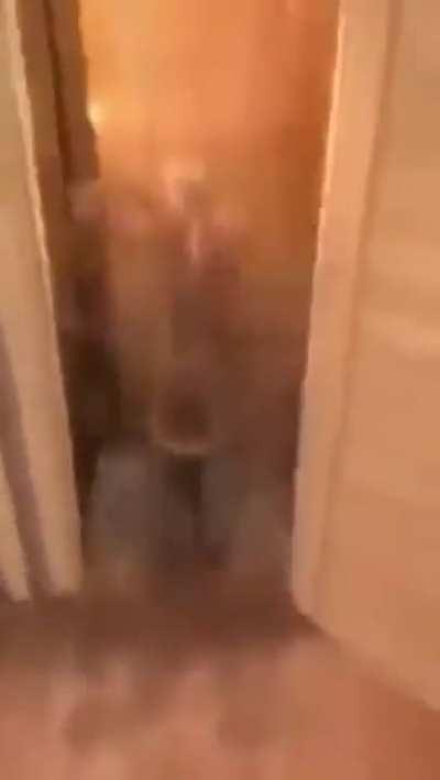 140 generation used toilet [Originally posted by gumgetter]