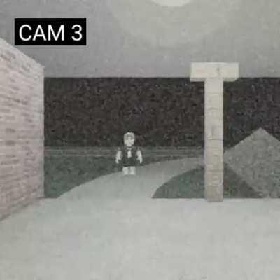 Creature caught on cctv camera