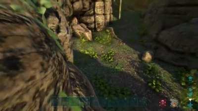 Someone told me you guys would enjoy this. Straight up roadrunner content