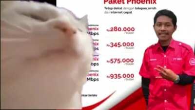 Yo y los pibes despues de salir troleados al ver una mona china