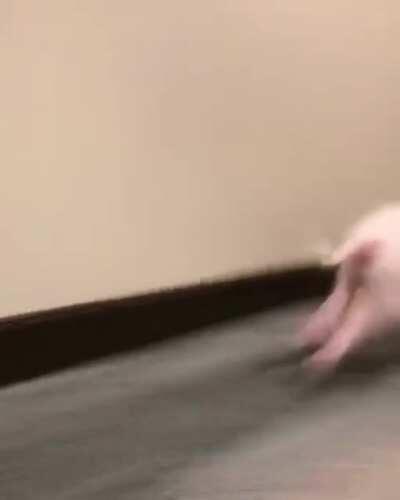 She found some tissue paper. Much fun was had