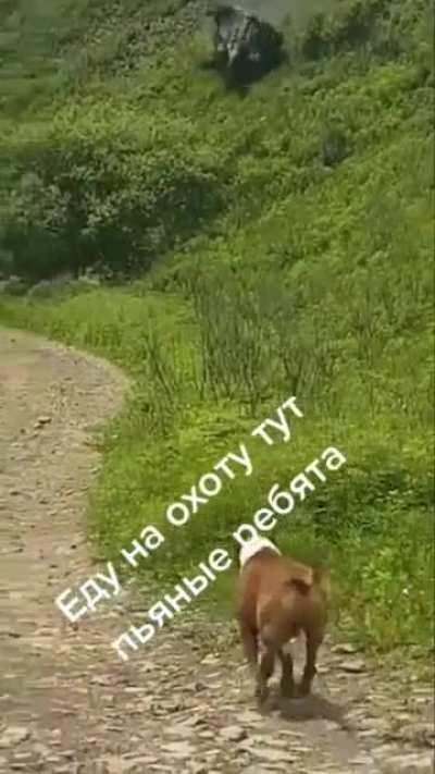 Never drive drunk… Especially in places like that