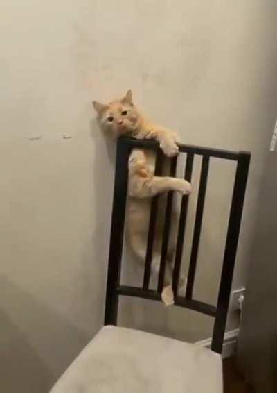 Silly chair... I'll come back