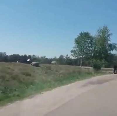 Ahh nature taking it course