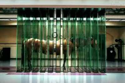 Check out this soothing GIF i found